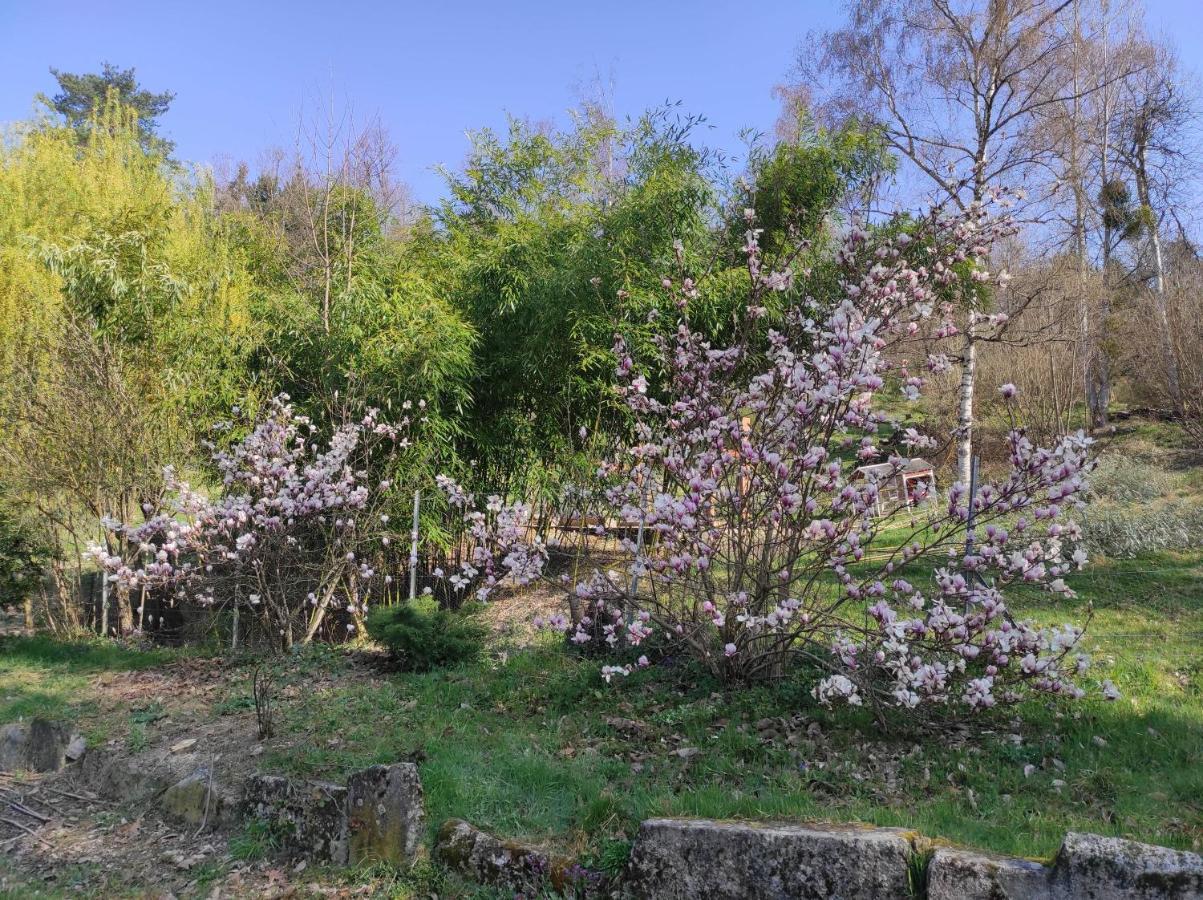 L'Oree Des Bois Courpiere Εξωτερικό φωτογραφία