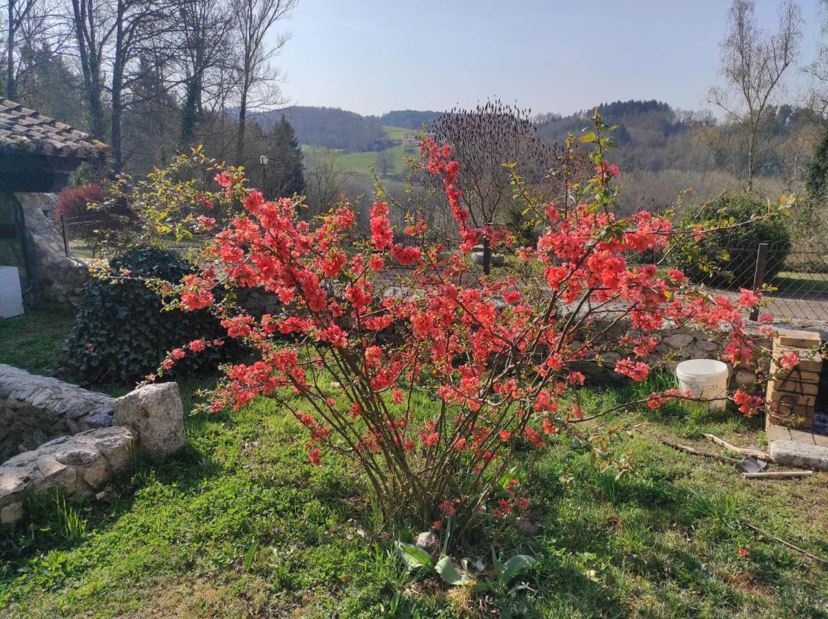 L'Oree Des Bois Courpiere Εξωτερικό φωτογραφία