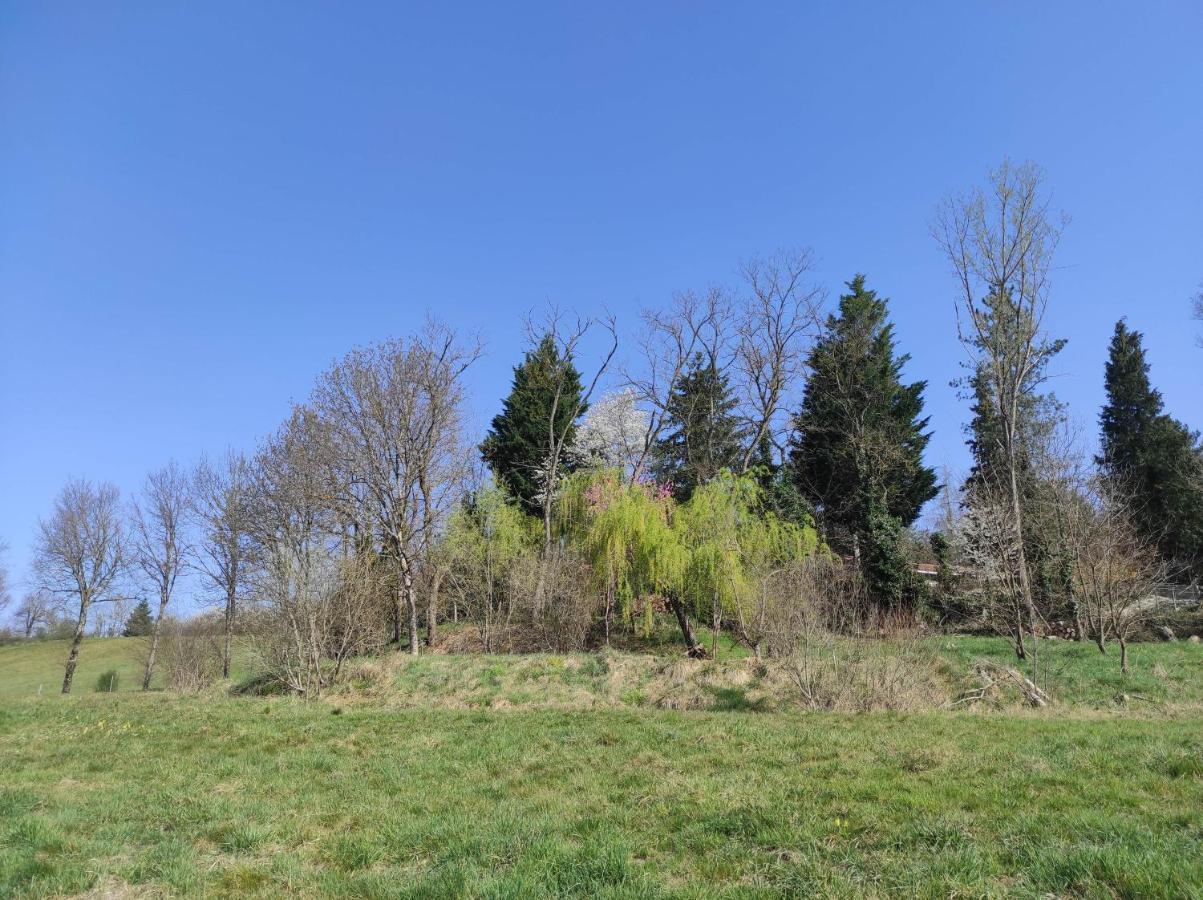 L'Oree Des Bois Courpiere Εξωτερικό φωτογραφία