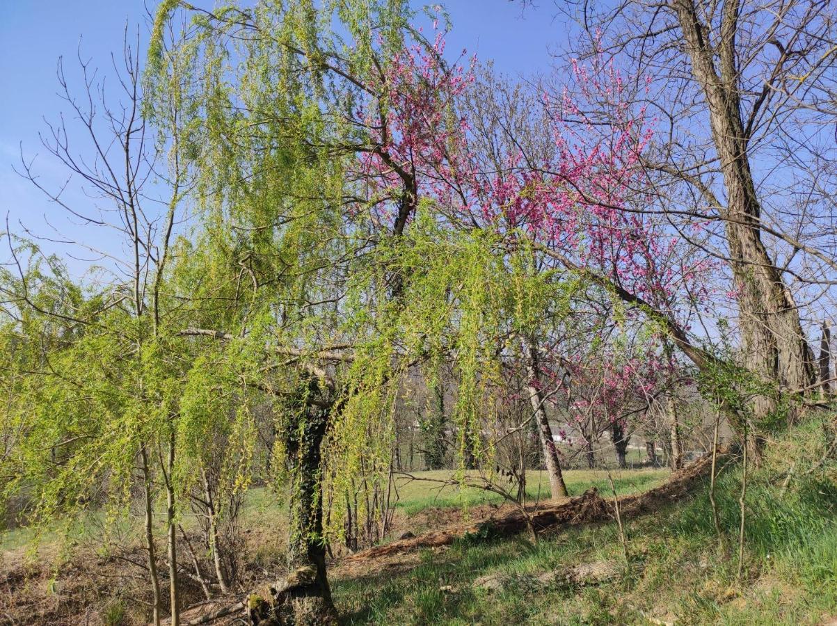 L'Oree Des Bois Courpiere Εξωτερικό φωτογραφία